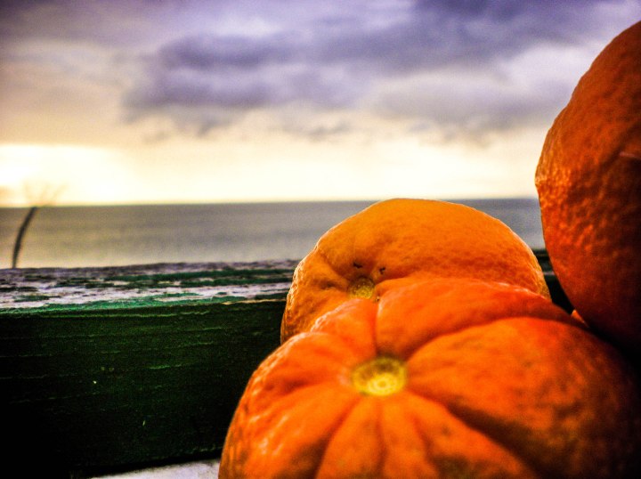 SANYO DIGITAL CAMERA