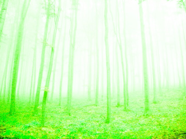 SANYO DIGITAL CAMERA